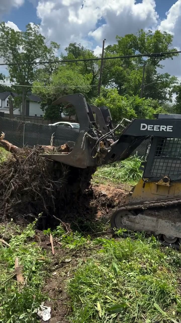 Wooded Lot Clearing & Stump Extraction — job site photo